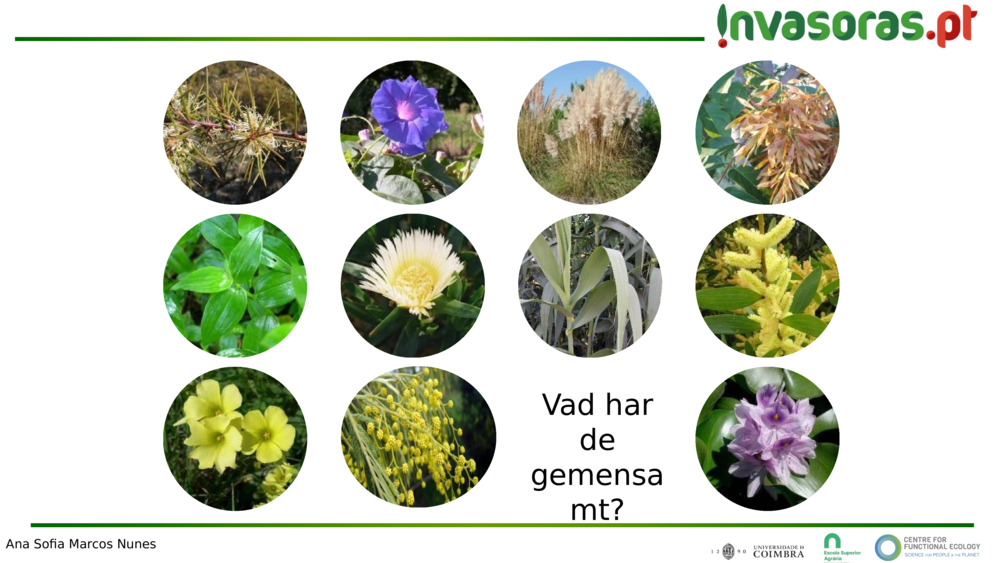 Vad har de gemensamt?