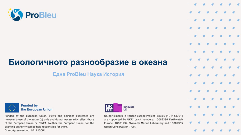 Биологичното разнообразие в океана