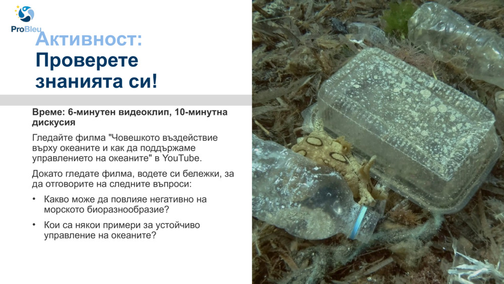 Активност: 