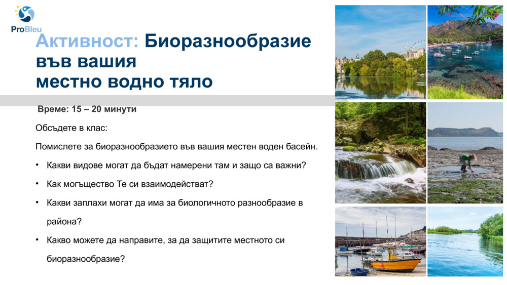 Изследване на биоразнообразието с Морска лаборатория в Плимут