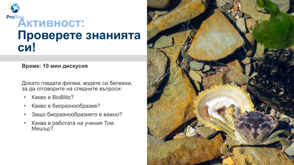 Активност: 