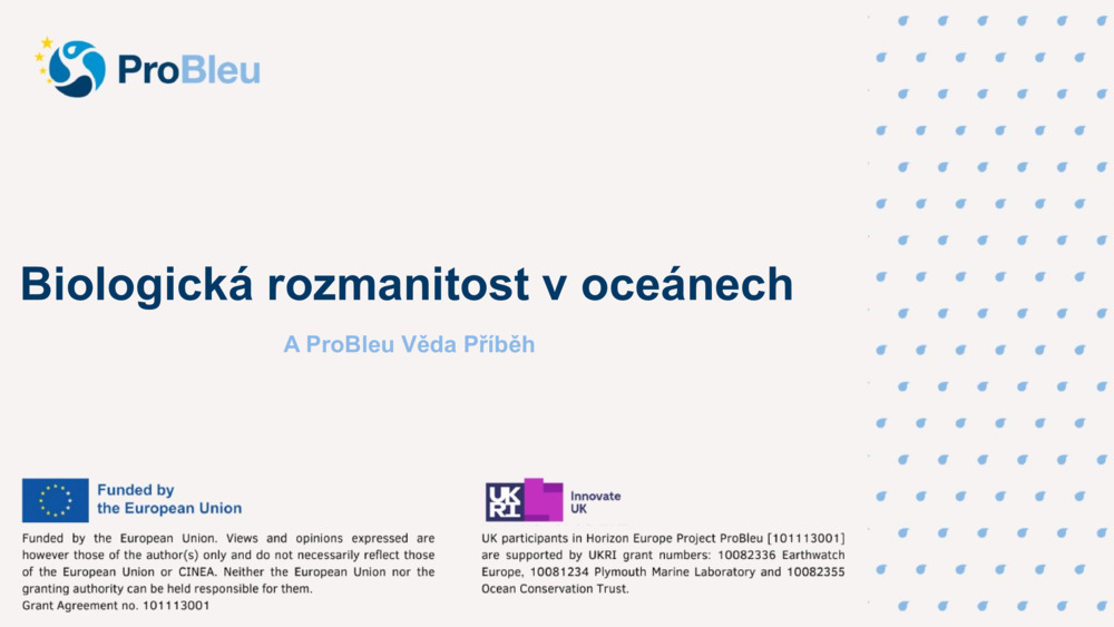 Biologická rozmanitost v oceánech