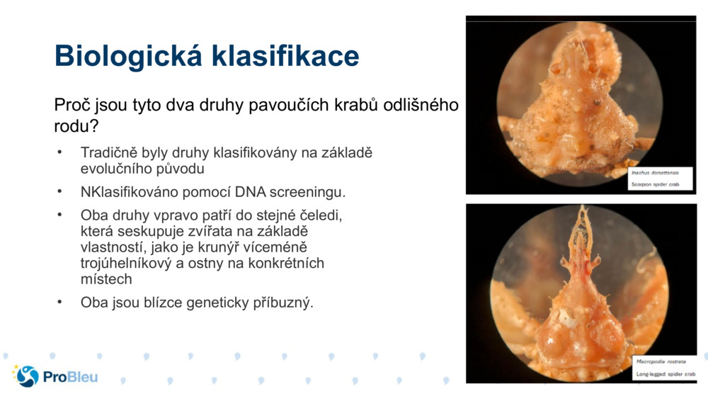 Biologická klasifikace 