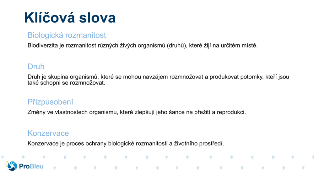 Klíčová slova