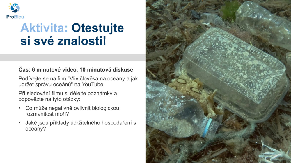 Aktivita: 