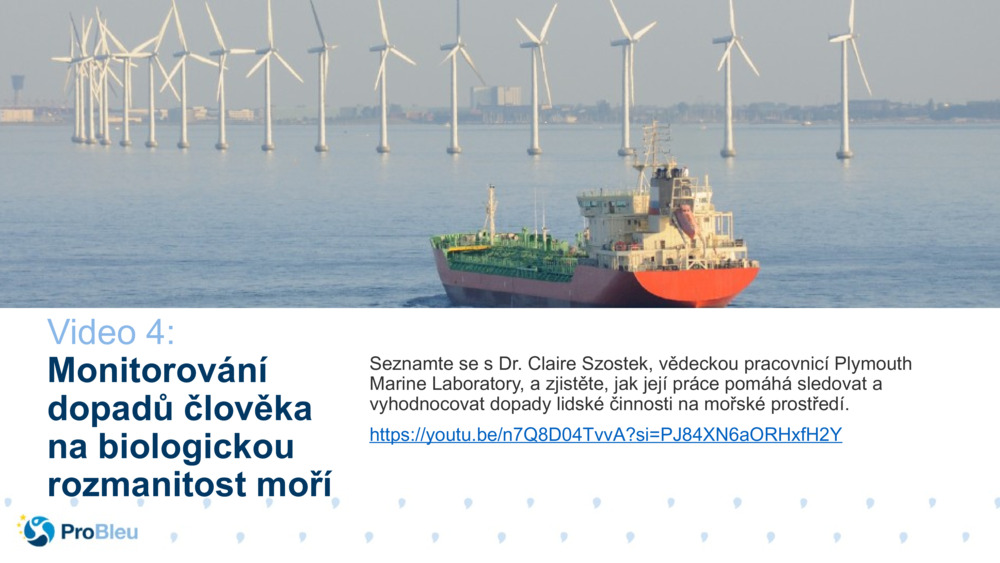 Video 4: 