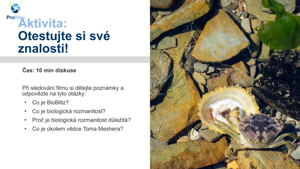 Aktivita: 
