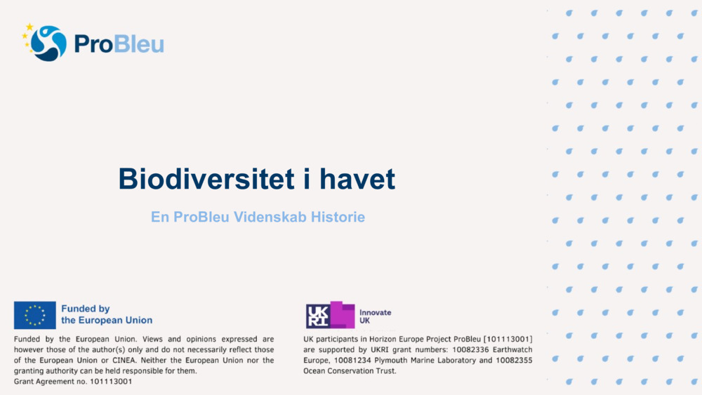 Biodiversitet i havet