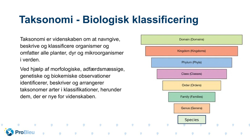 Taksonomi er videnskaben om at navngive, beskrive og klassificere organismer og omfatter alle planter, dyr og mikroorganismer i verden.