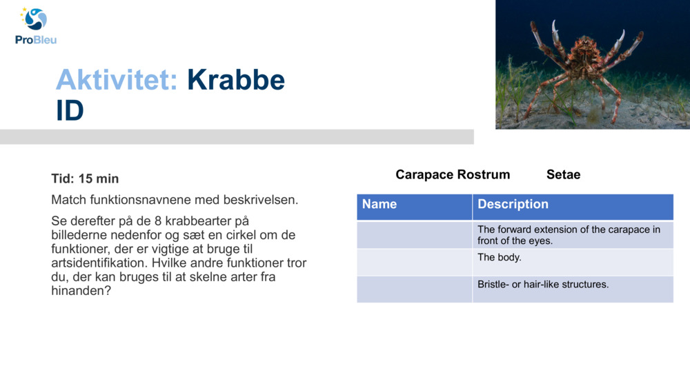 Aktivitet: 