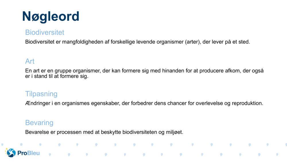 Nøgleord