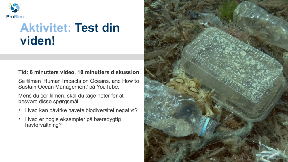 Aktivitet: 
