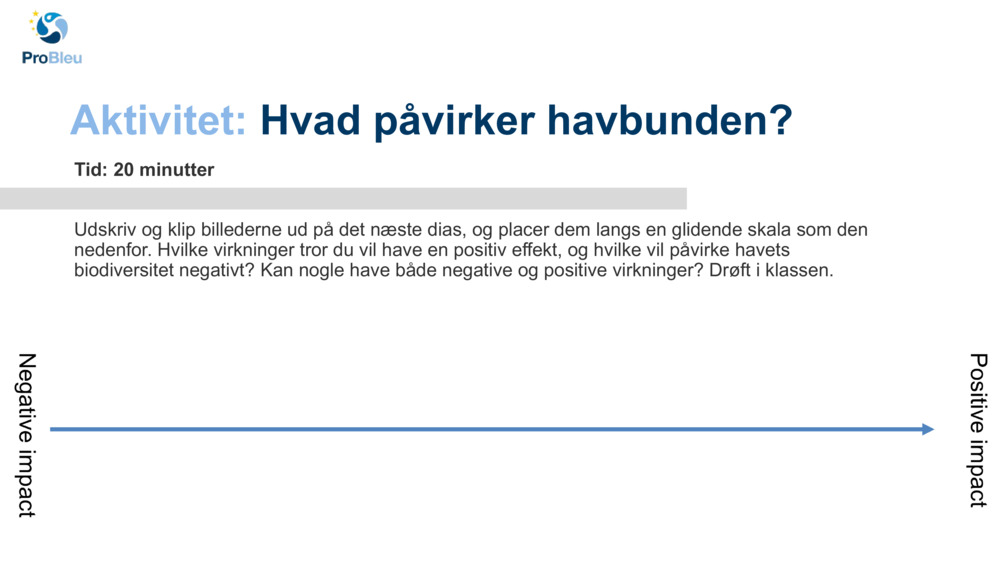 Aktivitet: 