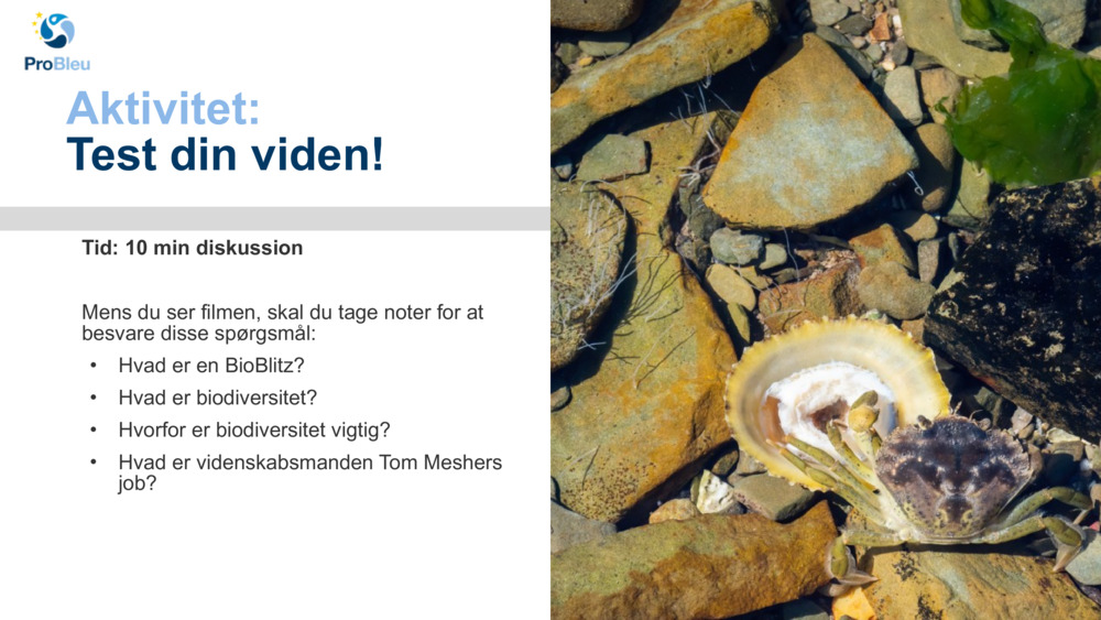 Aktivitet: 