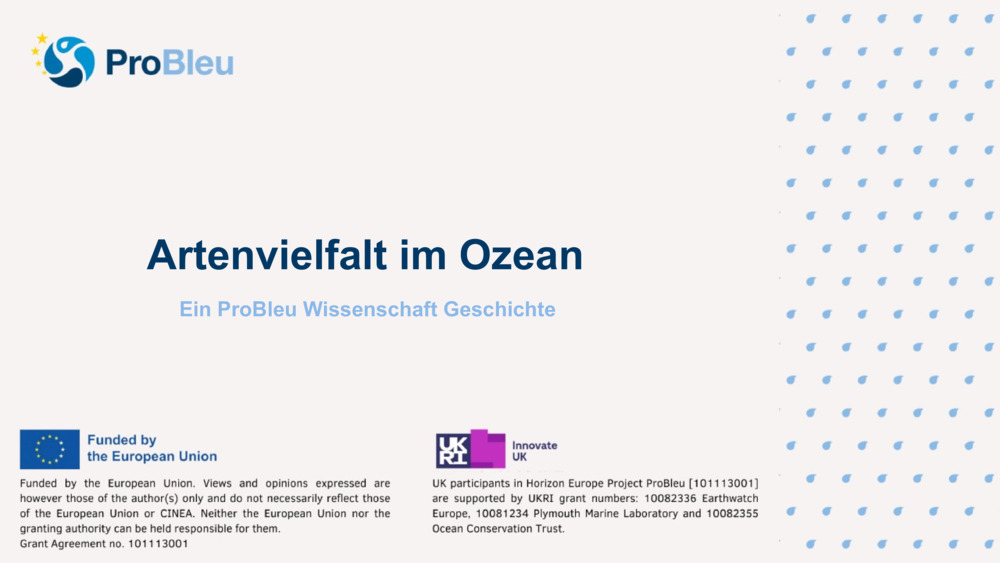 Artenvielfalt im Ozean