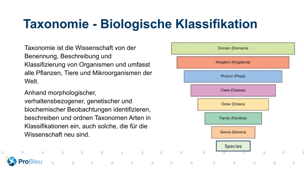 Taxonomie ist die Wissenschaft von der Benennung, Beschreibung und Klassifizierung von Organismen und umfasst alle Pflanzen, Tiere und Mikroorganismen der Welt.