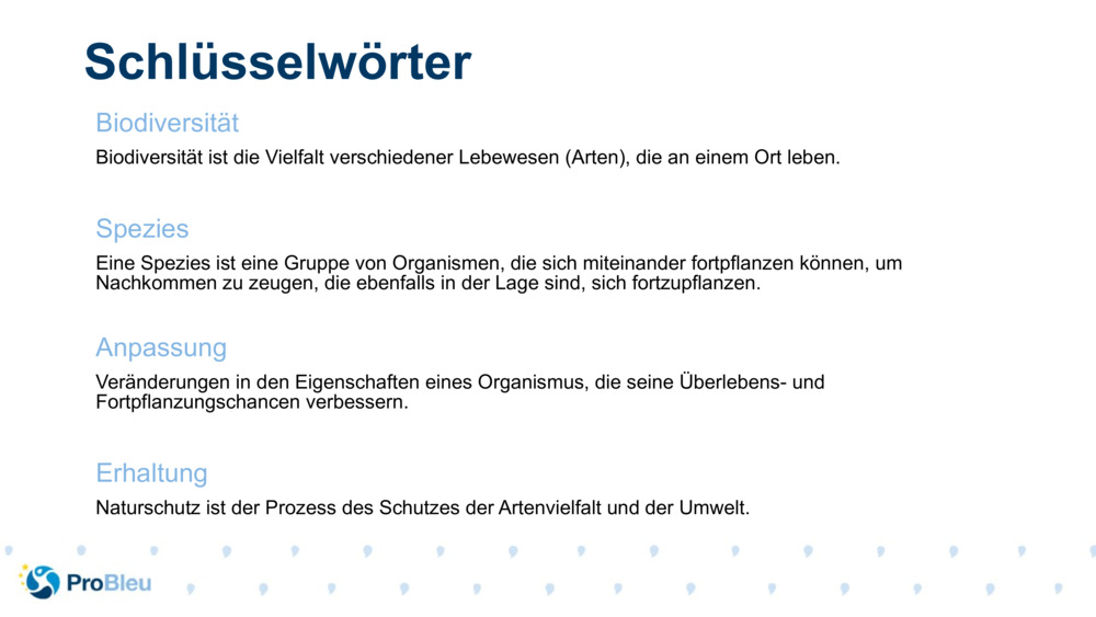 Schlüsselwörter