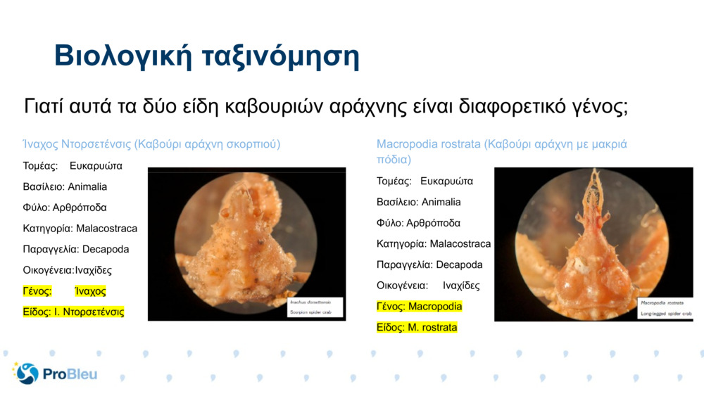 Ίναχος