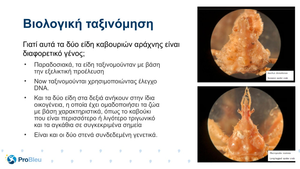 Βιολογική ταξινόμηση 
