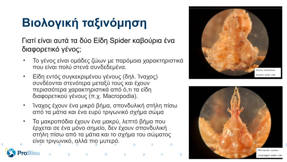 Βιολογική ταξινόμηση 