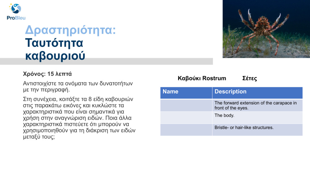 Δραστηριότητα: 