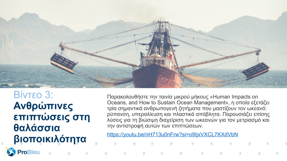 Βίντεο 3: 