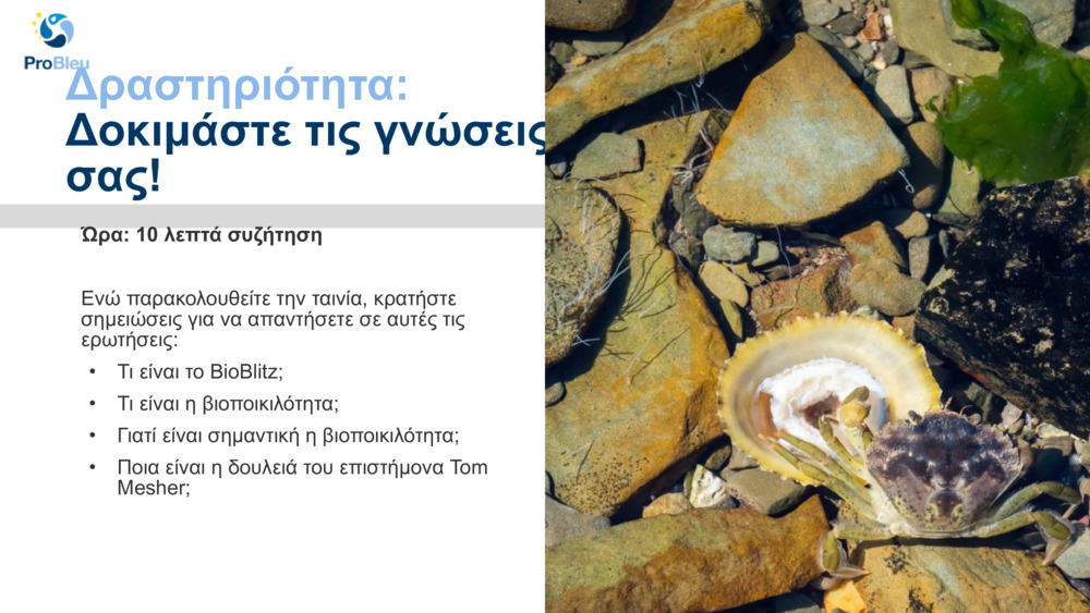 Δραστηριότητα: 