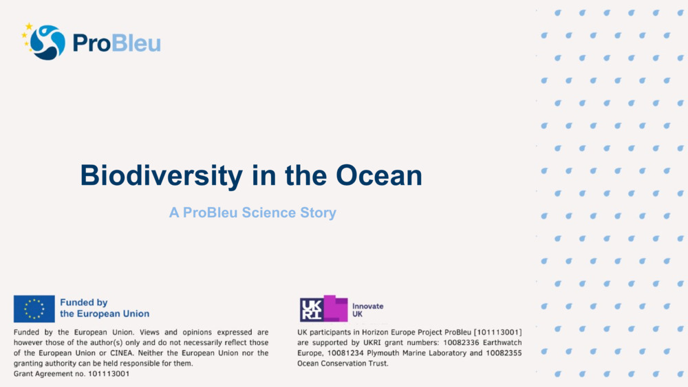 Biodiversity in the Ocean