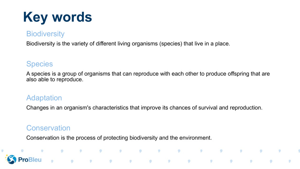 Key words