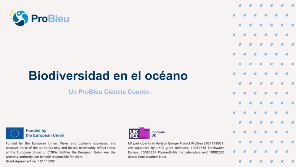 Biodiversidad en el océano