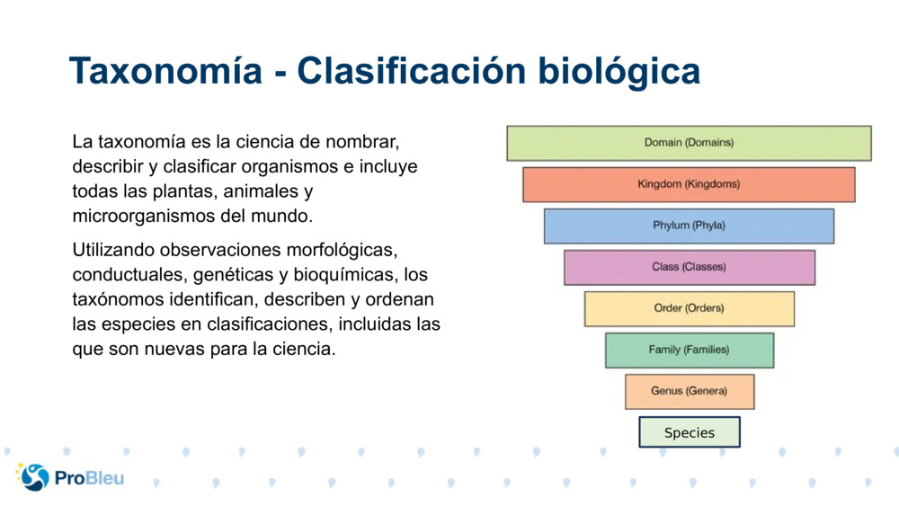 La taxonomía es la ciencia de nombrar, describir y clasificar organismos e incluye todas las plantas, animales y microorganismos del mundo.