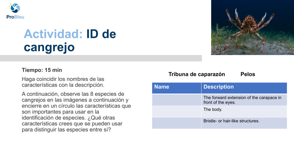 Actividad: 