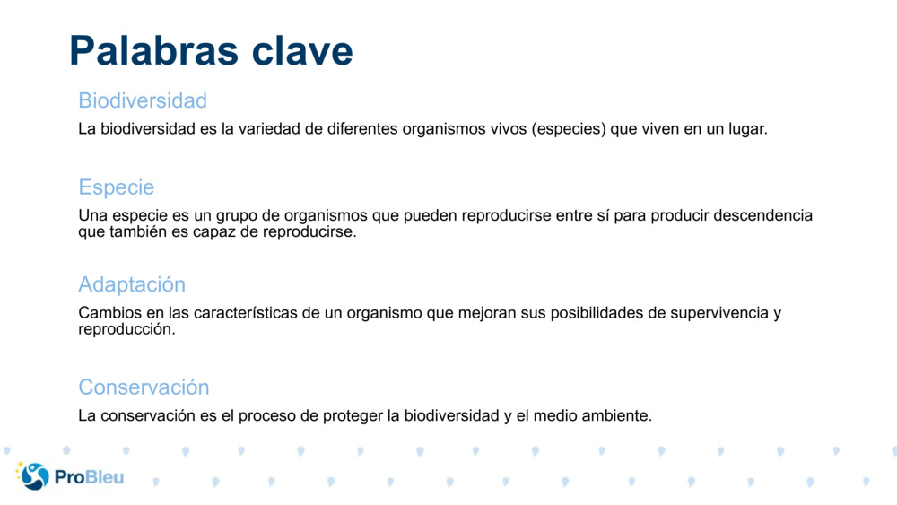 Palabras clave