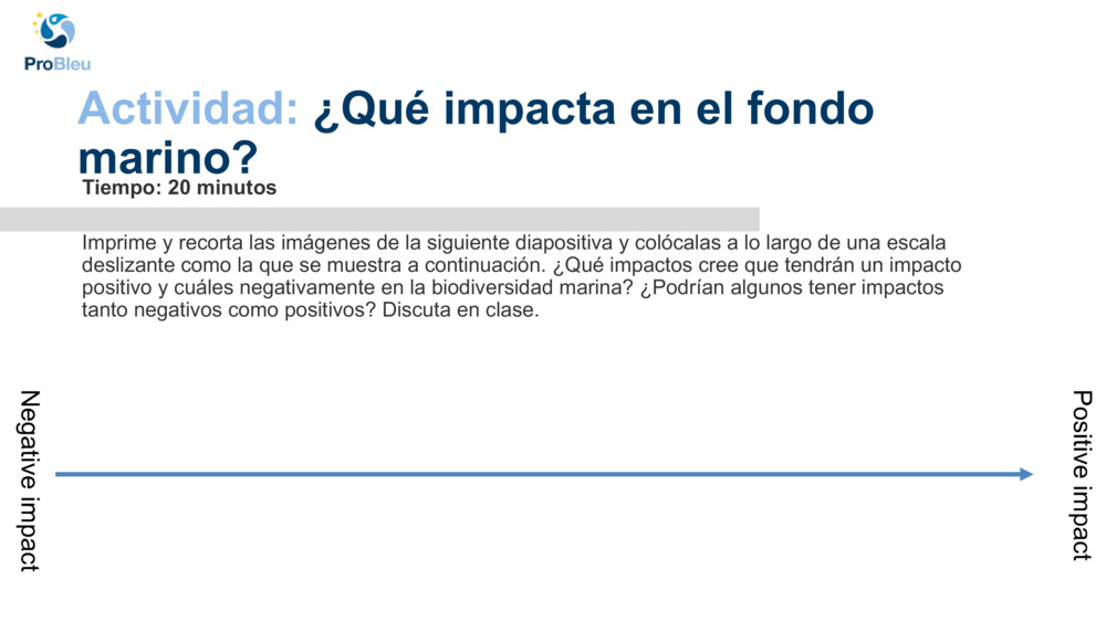 Actividad: 
