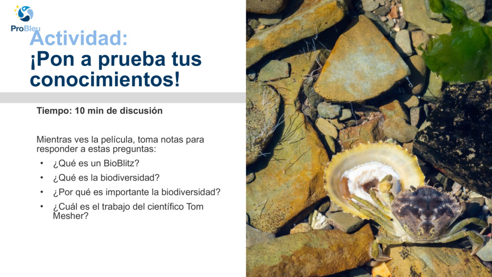 Actividad: 