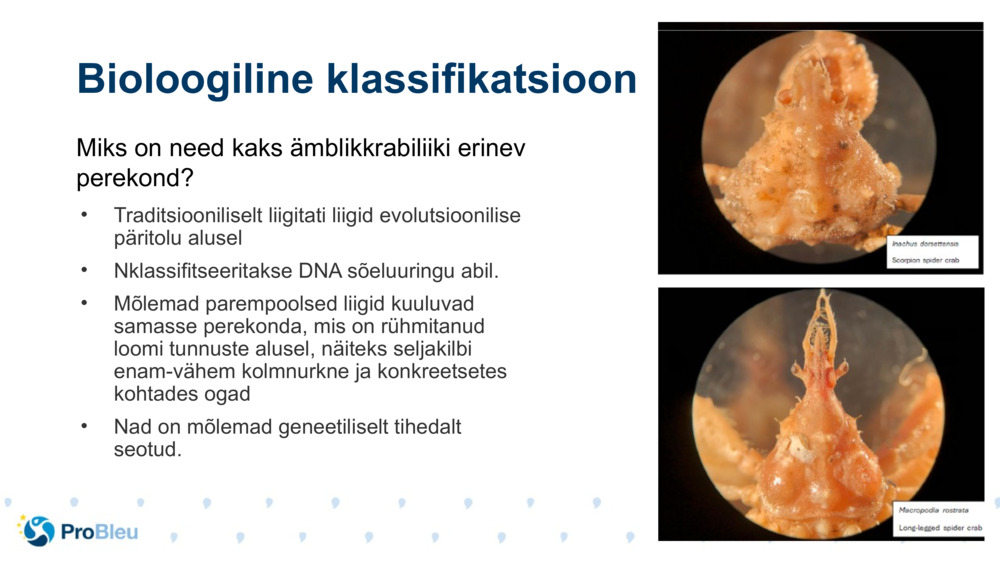 Bioloogiline klassifikatsioon 