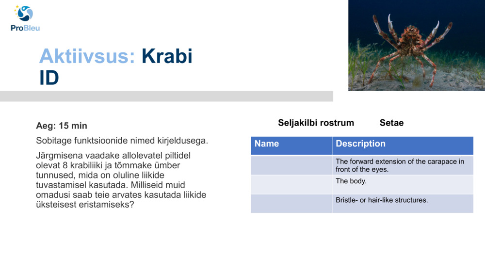 Aktiivsus: 