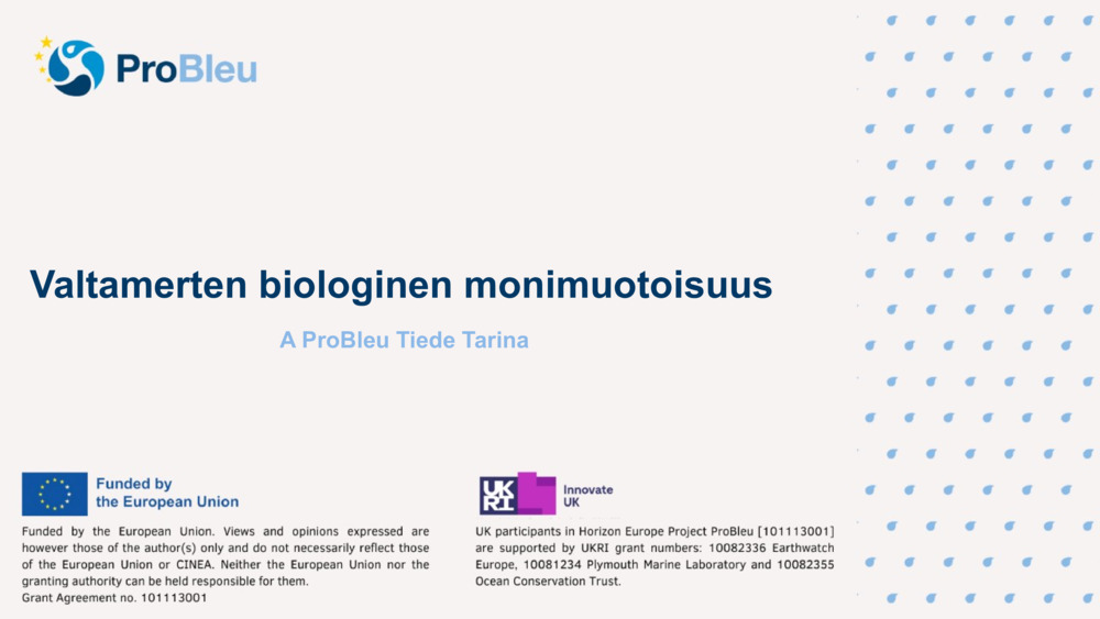 Valtamerten biologinen monimuotoisuus