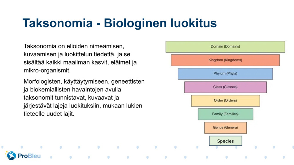 Taksonomia on eliöiden nimeämisen, kuvaamisen ja luokittelun tiedettä, ja se sisältää kaikki maailman kasvit, eläimet ja mikro-organismit.