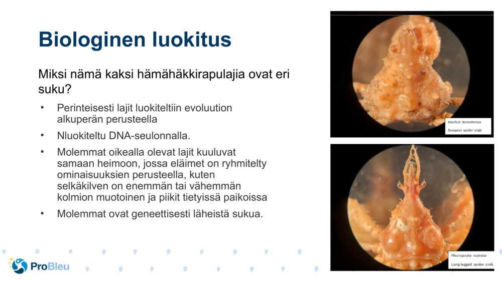 Biologinen luokitus 