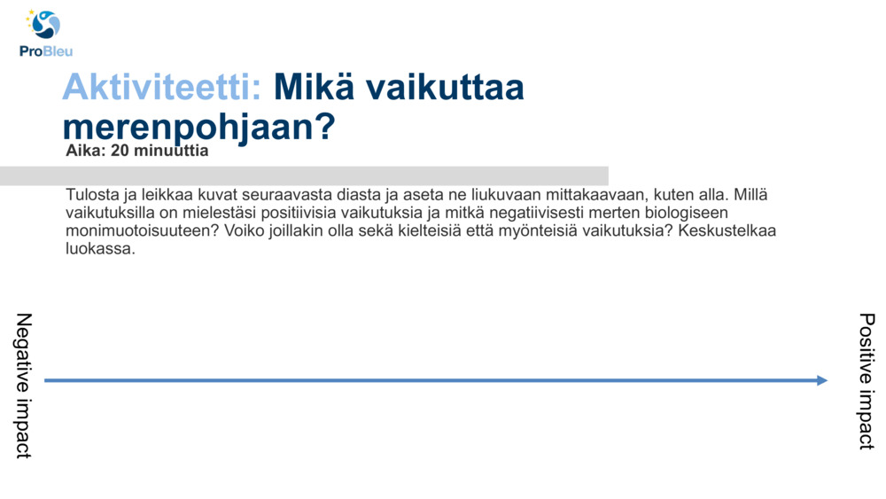 Aktiviteetti: 