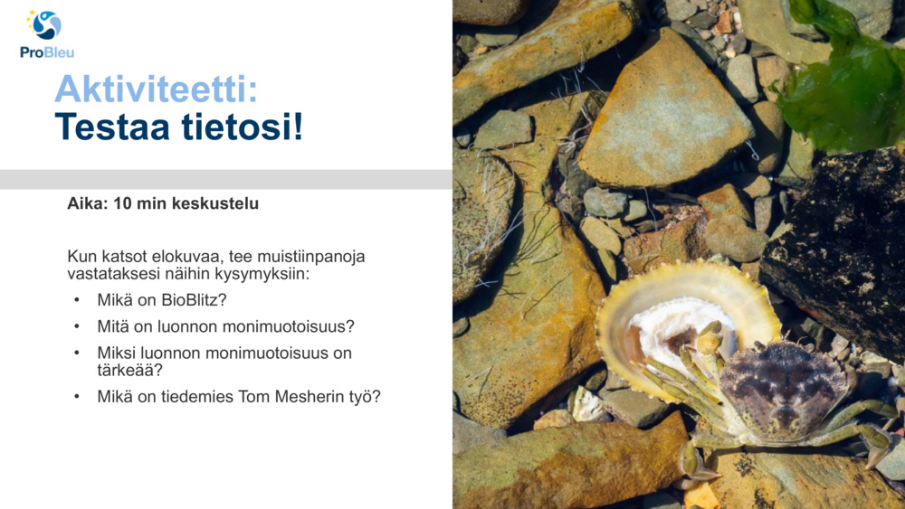 Aktiviteetti: 