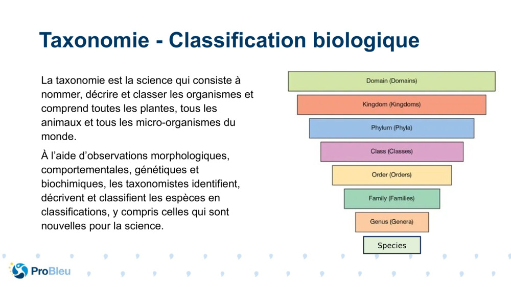 La taxonomie est la science qui consiste à nommer, décrire et classer les organismes et comprend toutes les plantes, tous les animaux et tous les micro-organismes du monde.
