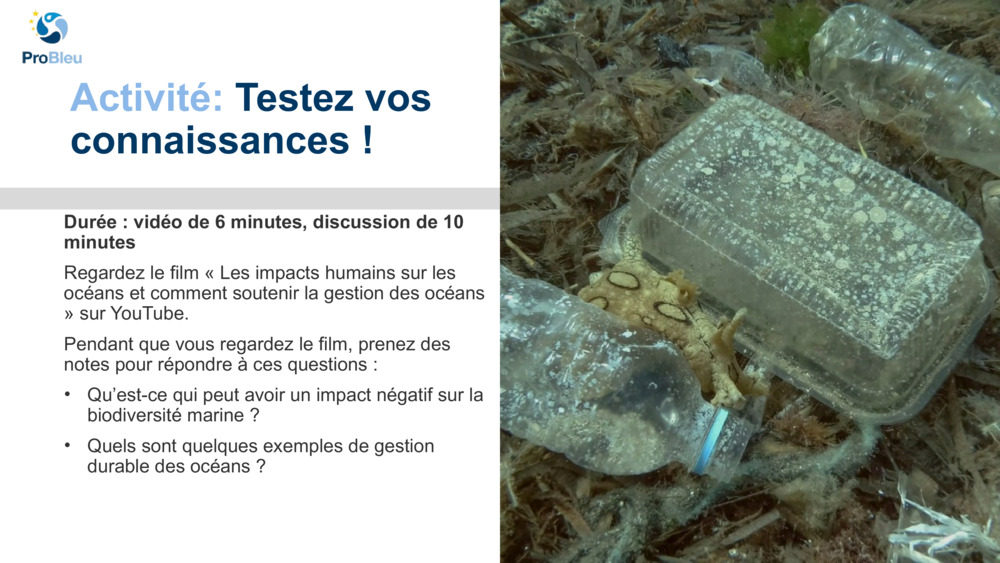 Activité: 