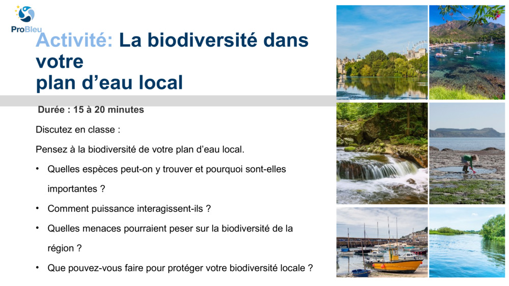 Explorer la biodiversité avec le Plymouth Marine Laboratory