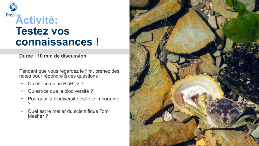 Activité: 