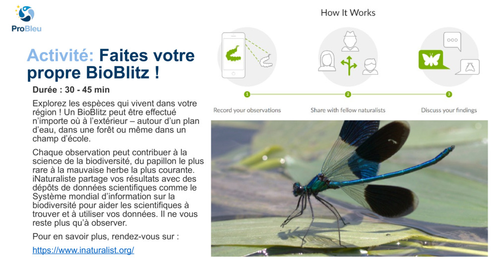 Activité: 