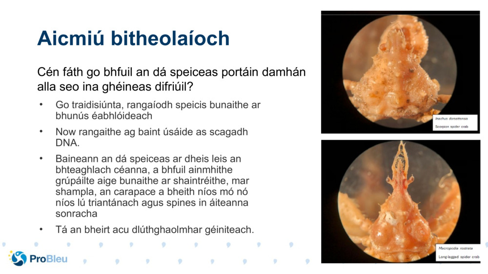 Aicmiú bitheolaíoch 