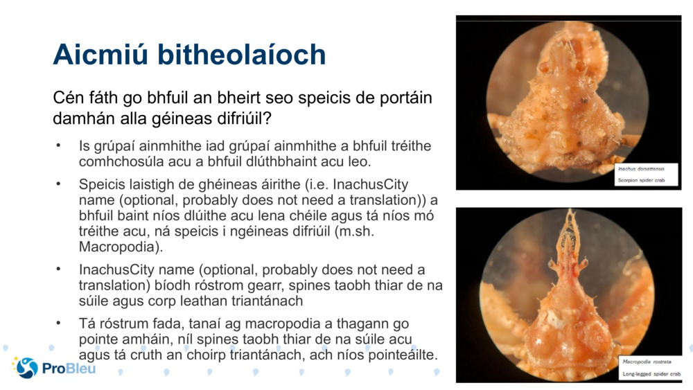 Aicmiú bitheolaíoch 