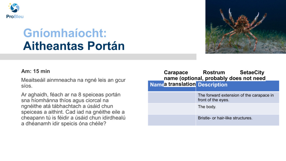 Gníomhaíocht: 